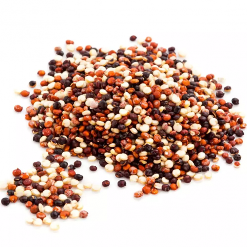 Quinoa Tricolor